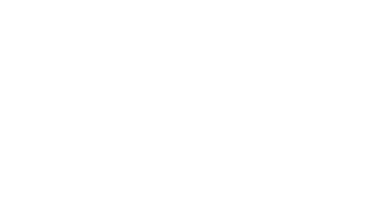 Cuddle Nest
